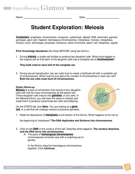 Directions: Follow the instructions to go through the simulation. . Student exploration meiosis